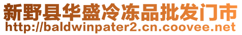 新野县华盛冷冻品批发门市