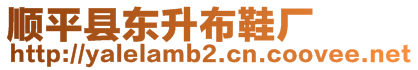 順平縣東升布鞋廠