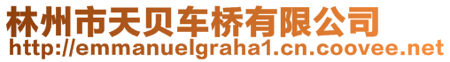 林州市天貝車橋有限公司