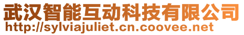 武漢智能互動(dòng)科技有限公司