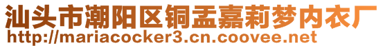 汕頭市潮陽區(qū)銅盂嘉莉夢內(nèi)衣廠