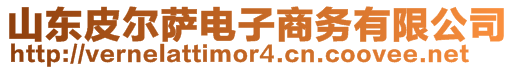 山東皮爾薩電子商務(wù)有限公司