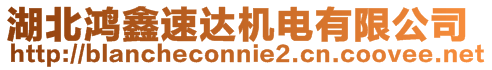 湖北鴻鑫速達機電有限公司