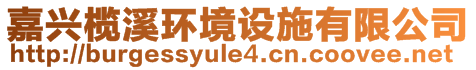 嘉興欖溪環(huán)境設施有限公司