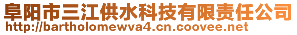 阜陽市三江供水科技有限責任公司