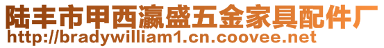 陸豐市甲西瀛盛五金家具配件廠