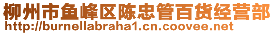 柳州市魚峰區(qū)陳忠管百貨經(jīng)營(yíng)部