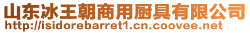 山東冰王朝商用廚具有限公司