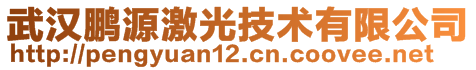 武漢鵬源激光技術(shù)有限公司