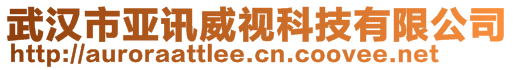 武漢市亞訊威視科技有限公司