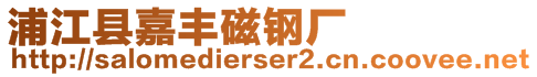 浦江縣嘉豐磁鋼廠