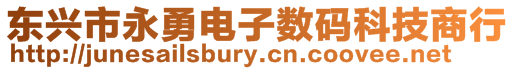 東興市永勇電子數碼科技商行