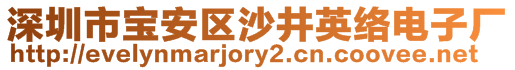 深圳市寶安區(qū)沙井英絡(luò)電子廠