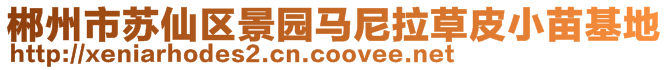 郴州市蘇仙區(qū)景園馬尼拉草皮小苗基地