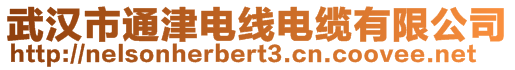 武漢市通津電線電纜有限公司