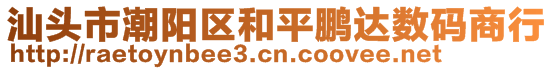 汕頭市潮陽(yáng)區(qū)和平鵬達(dá)數(shù)碼商行