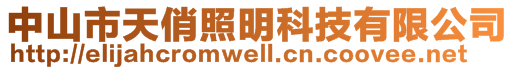 中山市天俏照明科技有限公司