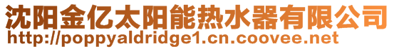 沈阳金亿太阳能热水器有限公司