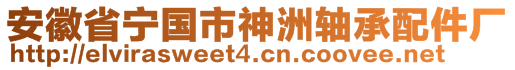 安徽省寧國市神洲軸承配件廠