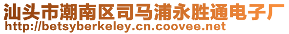 汕头市潮南区司马浦永胜通电子厂