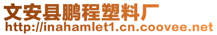 文安縣鵬程塑料廠