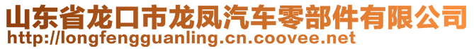 山東省龍口市龍鳳汽車零部件有限公司