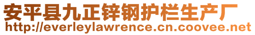 安平縣九正鋅鋼護(hù)欄生產(chǎn)廠(chǎng)