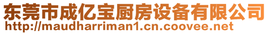 東莞市成億寶廚房設備有限公司