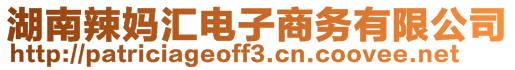 湖南辣媽匯電子商務(wù)有限公司