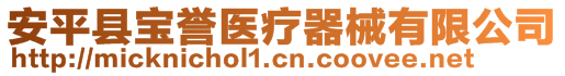 安平縣寶譽(yù)醫(yī)療器械有限公司