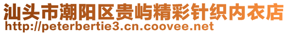 汕頭市潮陽區(qū)貴嶼精彩針織內衣店