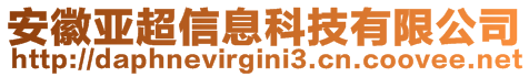 安徽亚超信息科技有限公司