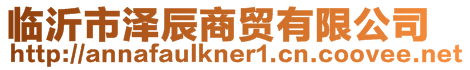 临沂市泽辰商贸有限公司