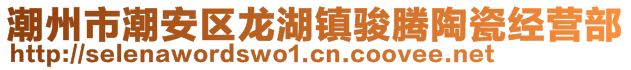 潮州市潮安區(qū)龍湖鎮(zhèn)駿騰陶瓷經營部