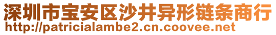 深圳市寶安區(qū)沙井異形鏈條商行