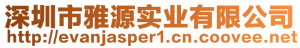 深圳市雅源实业有限公司