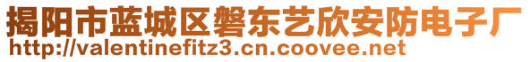 揭陽市藍(lán)城區(qū)磐東藝欣安防電子廠