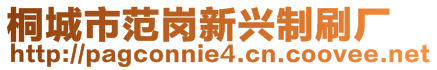 桐城市范崗新興制刷廠