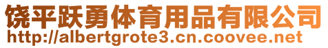 饒平躍勇體育用品有限公司