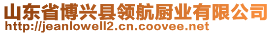 山東省博興縣領(lǐng)航廚業(yè)有限公司