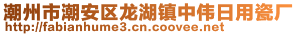 潮州市潮安區(qū)龍湖鎮(zhèn)中偉日用瓷廠