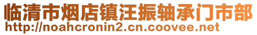 臨清市煙店鎮(zhèn)汪振軸承門市部