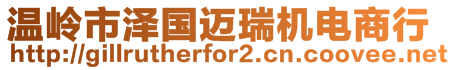 溫嶺市澤國邁瑞機(jī)電商行