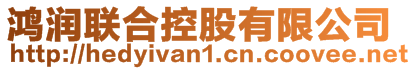 鴻潤聯(lián)合控股有限公司