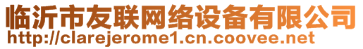 临沂市友联网络设备有限公司