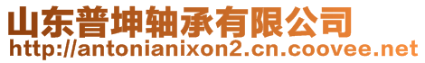 山東普坤軸承有限公司