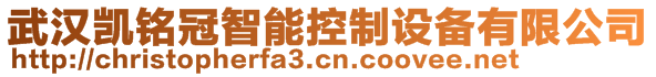 武漢凱銘冠智能控制設(shè)備有限公司