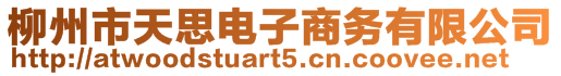 柳州市天思电子商务有限公司