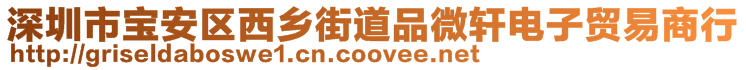 深圳市宝安区西乡街道品微轩电子贸易商行