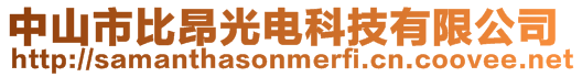 中山市比昂光電科技有限公司